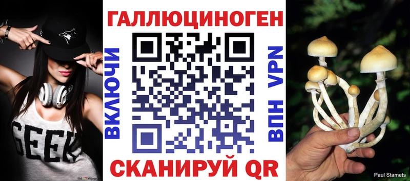 omg ТОР  Междуреченск  Псилоцибиновые грибы прущие грибы 