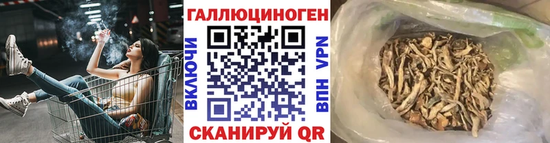 Псилоцибиновые грибы мухоморы Междуреченск